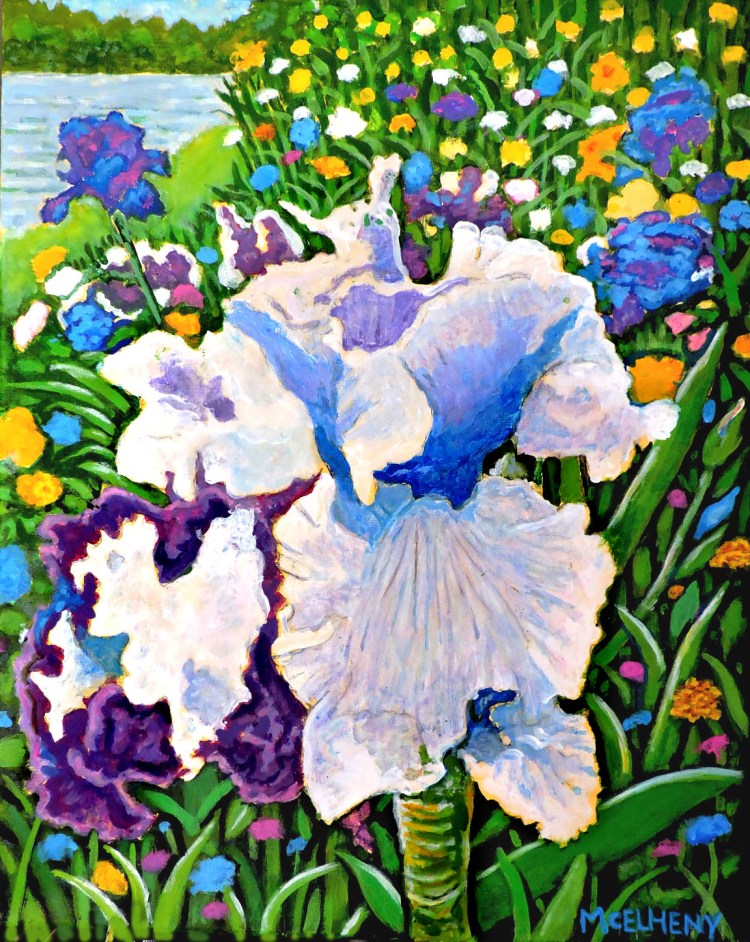 Mixed Irises - 16 X 20 